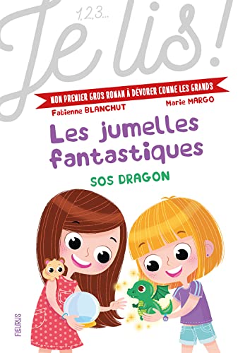 Les Jumelles fantastiques T2 : SOS Dragon